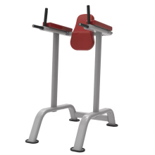 2024 High Quality Vertical Knee Raise Gym Equipment - Hot Sale