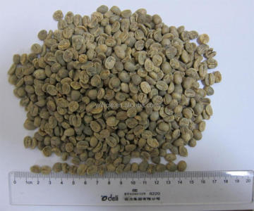 High Quality Brazil coffee beans free sample