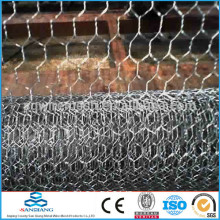 Anping stainless steel Hexagnal Wire Mesh