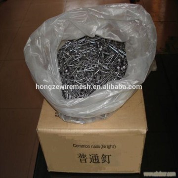 Black steel nails factory/Iron nails/common nails