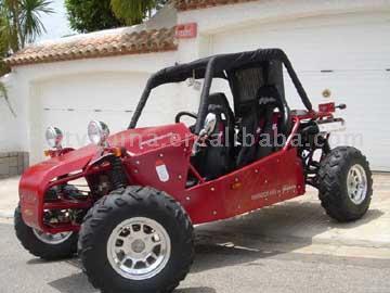 650cc Joyner Buggy Homologated for On Road