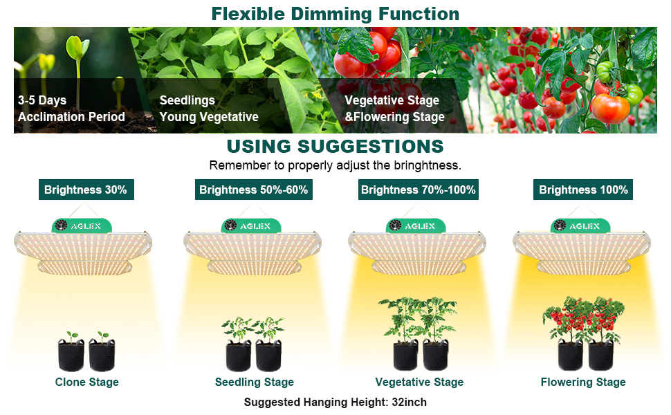 AGLEX HORTICTURTURE Quantum Board Grow Light Commercial Plant