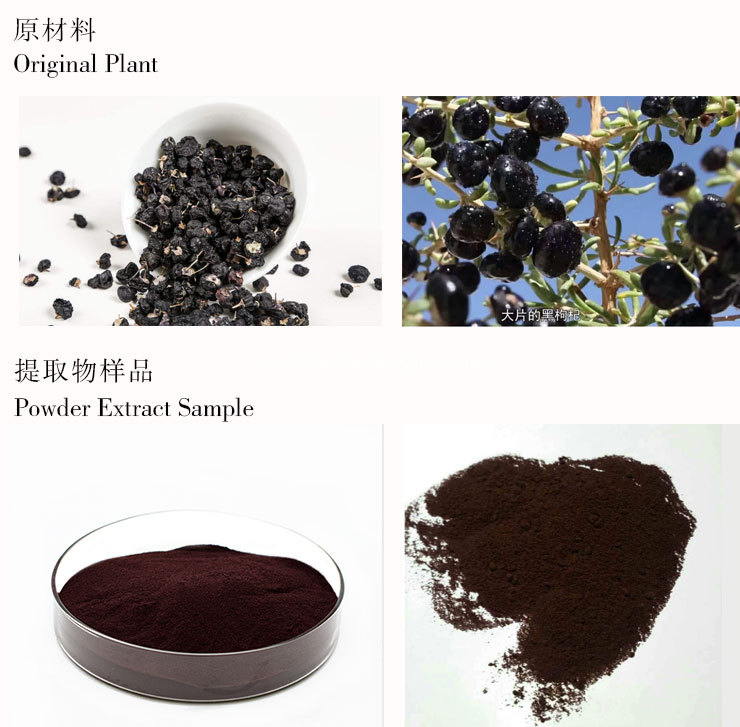 black goji berry powder-3