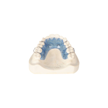 Dental Teeth Orthodontic Appliance