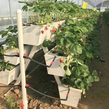 Sera için NFT Hydroponic Büyüyen Oluk