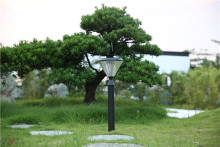 outdoor solar light components