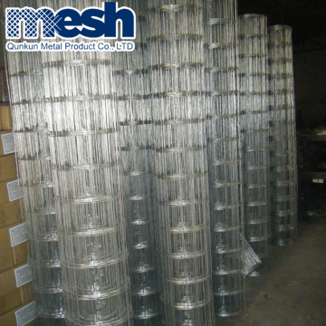 Plastic coated welded wire mesh on sale