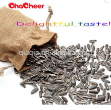 4 sale kuwait sunflower seed