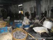 Double Deadbolt Door Lock?