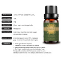 OEM Custom Prywatna Label Relaksing Eucalyptus Essential Oil