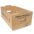 Sustainable Small Master Tray for Fresh Fruit Shipping