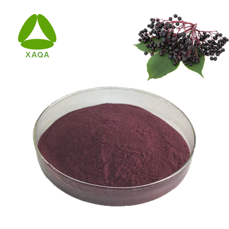 Lycium Ruthenicum Black Wolf Berry Goji-Extrakt-Anthocyanine