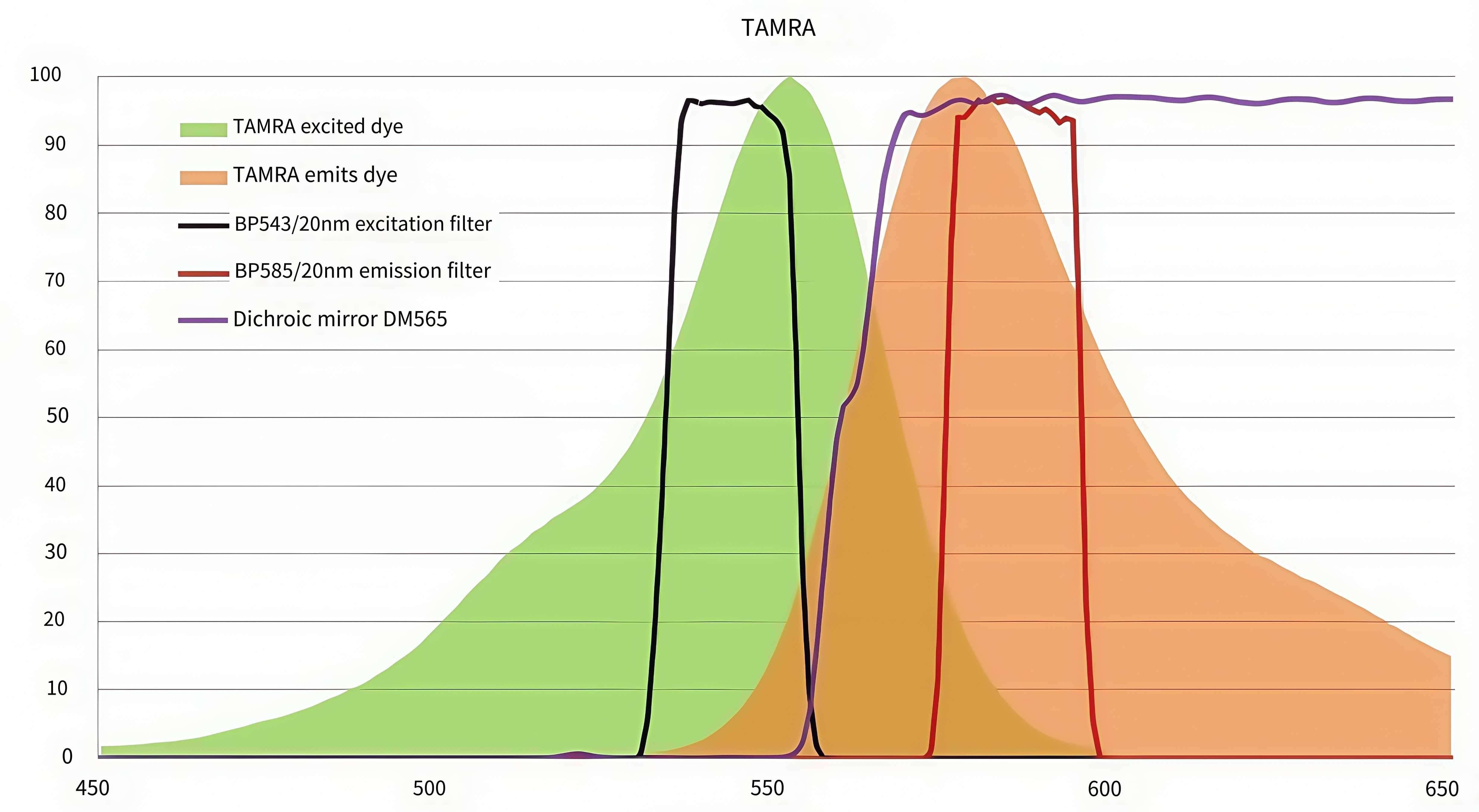 Filter optik fluoresensi TAMRA untuk mikroskop