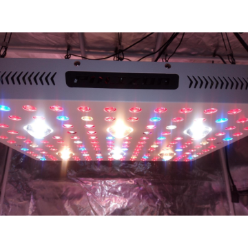 2000/3000w Full Spectrum Horticulture Lighting Grow COB