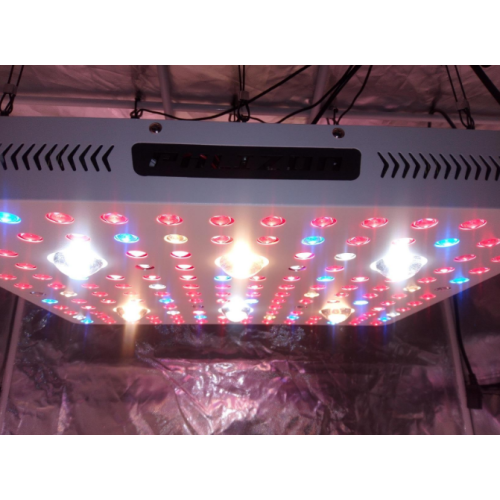 2000 / 3000W Full Spectrum Horticulture Lighting Culte COB