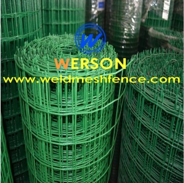 1" x 1" PVC coated Welded Wire Mesh | werson