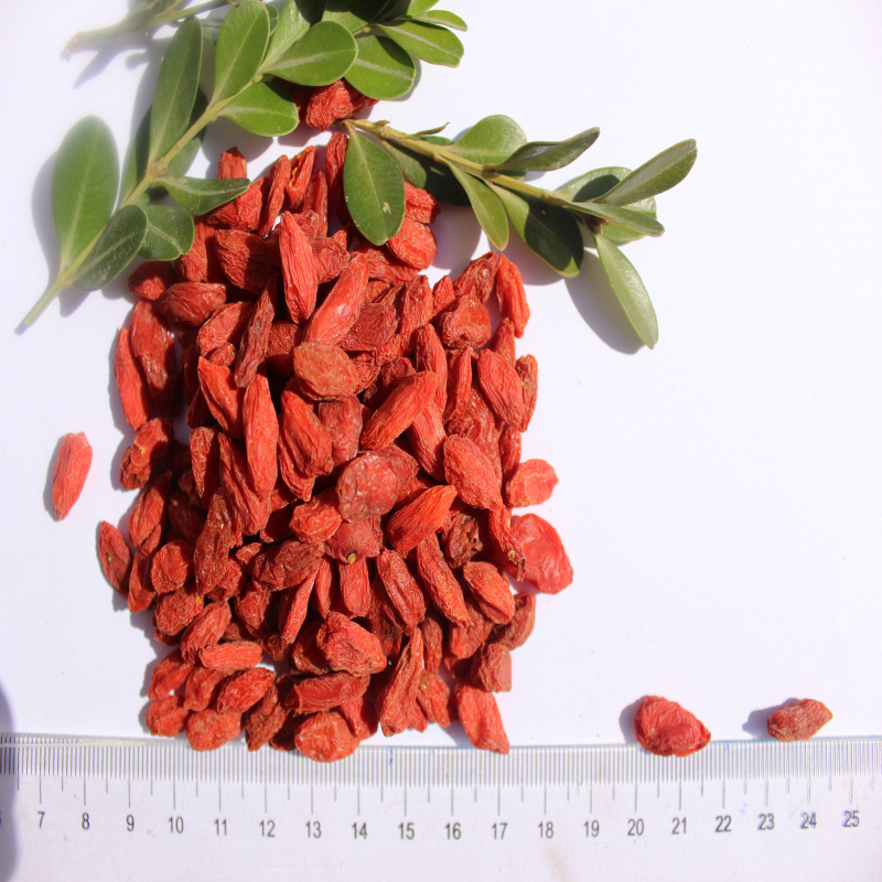 Chứng nhận dinh dưỡng cao Goji cho cân nặng