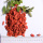 High nutrition Certified Goji for lost weight