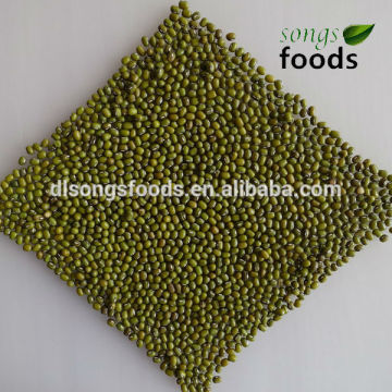 Dry bulk myanmar green mung bean