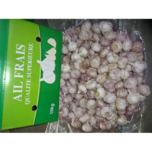 New Crop 2020 Normal Weißer Knoblauch Lose Karton