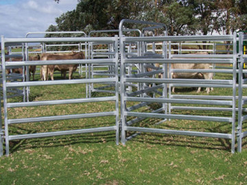Top quantity galvanized heavy duty used livestock panels
