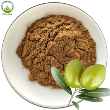 High Quality Olive Leaf Extract Powder Oleuropein