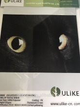 Hangzhou Ulike Waterproof Pearl Textile PA Coating Textile Printing for UV Machine TX8808