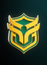 Premium metal lapel pin