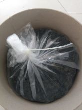 Mono Bulb Peeled Black Garlic