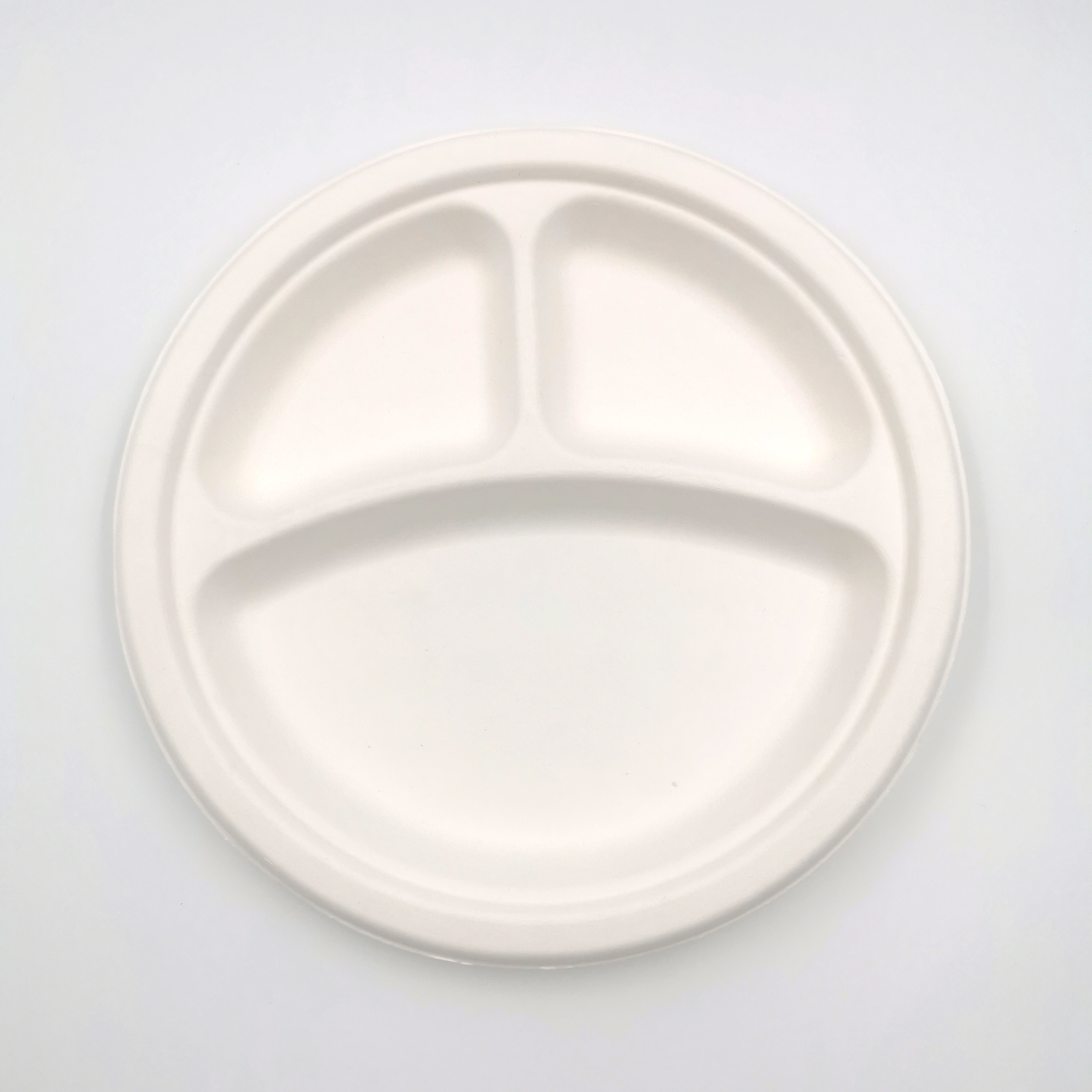 prato de bagaço bagasse plate