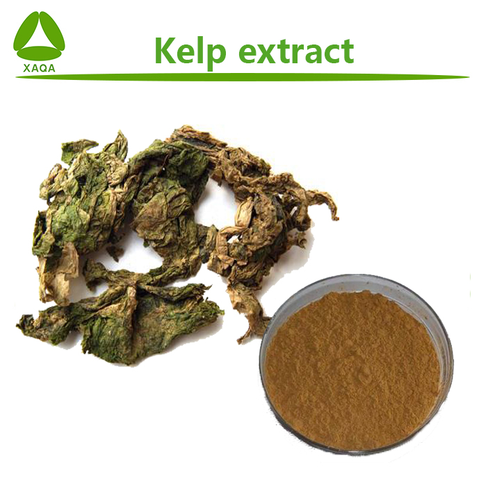 Kelp extract