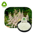 Astilbe chinensis Extracto Astilbin Powder CAS 29838-67-3