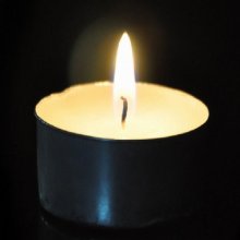 50pcs wax unscented tealight altar candle