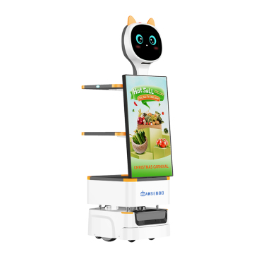 Android Supermarket Robots: Delivery and Advertising Solutions
