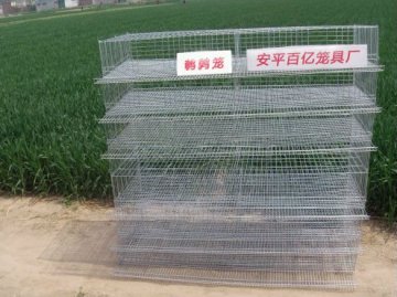 layer quail cages