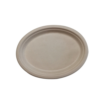 Disposable Biodegradable Sugarcane Pulp Fiber 10inch Plate