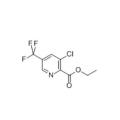 128073-16-5,3-Cloro-5- (trifluorometil) 2-pyridinecarboxylic etile