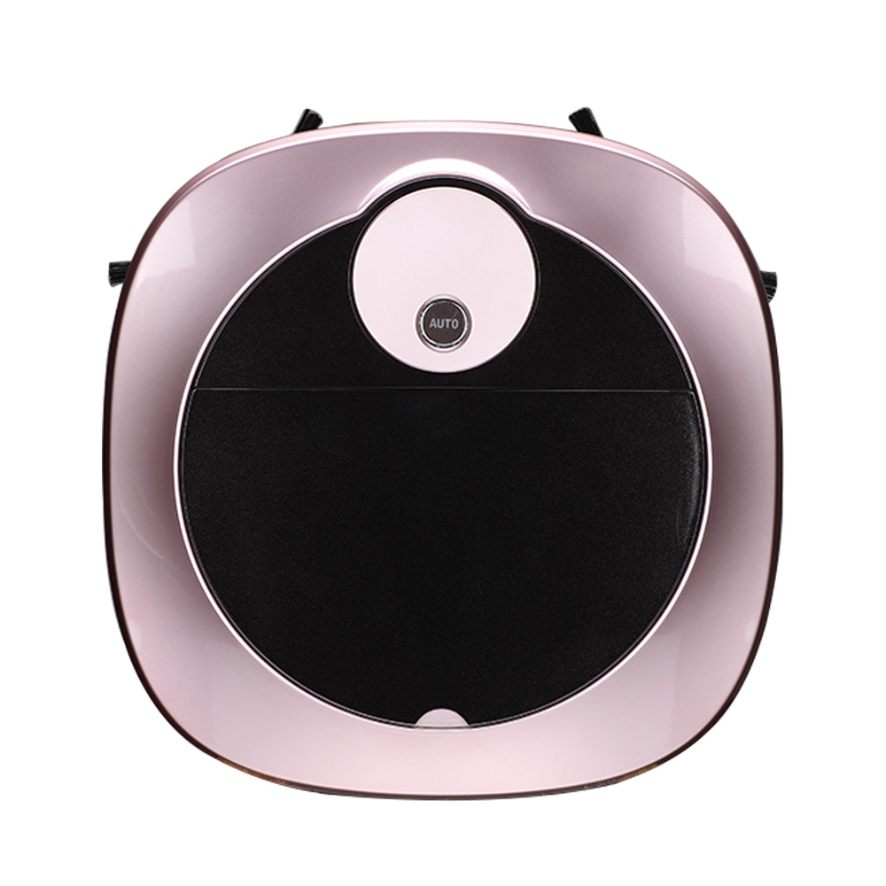 Remote Control Mopping Vacuum Robot (3)