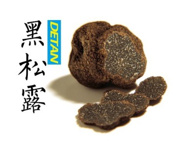 Delicious Wild Black Truffle Mushroom Hot Sale                        
                                                Quality Choice