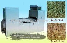 Buckwheats color sorting machine
