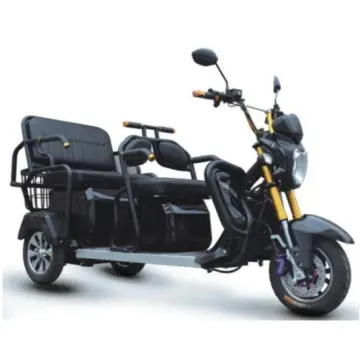 EEC Approved 3 Wheel Electric Tricycle Mobility Scooter