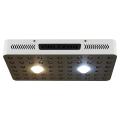 Cree COB LED Grow Light con lente óptica