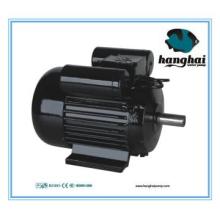 YL series induction motor