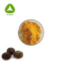 Grado alimentario 99% Suplemento de mar Urchin Polvo amarillo