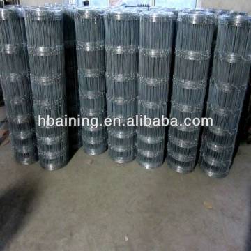 5x5 welded wire mesh