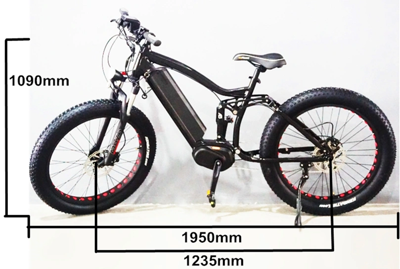 2020 Hot Sale Fat Bike Electric Mountain Bike/ Factory Sale Electric Bicycle