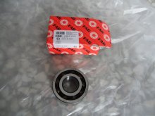 FAG BEARING