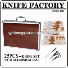 color plastic handle steak knife