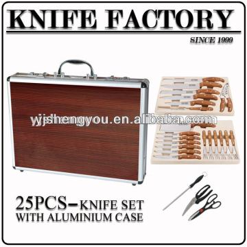 color plastic handle steak knife