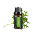 Óleo essencial de Thuja 100%puro para aromaterapia com cuidados com a pele